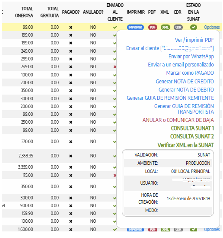 Options Document SUNAT